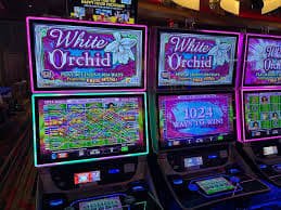 97 togel App 